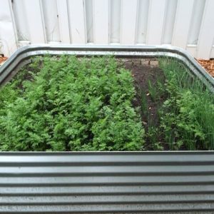 Garden Bed with Multiple Vegetable Plants